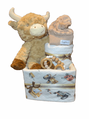 Hamish Highland Cow Nappy Cake