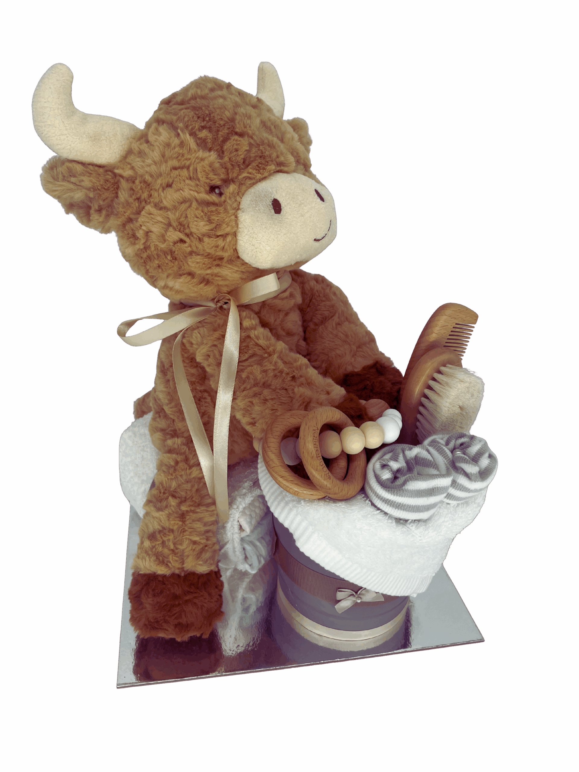 Hamish the Highland Cow